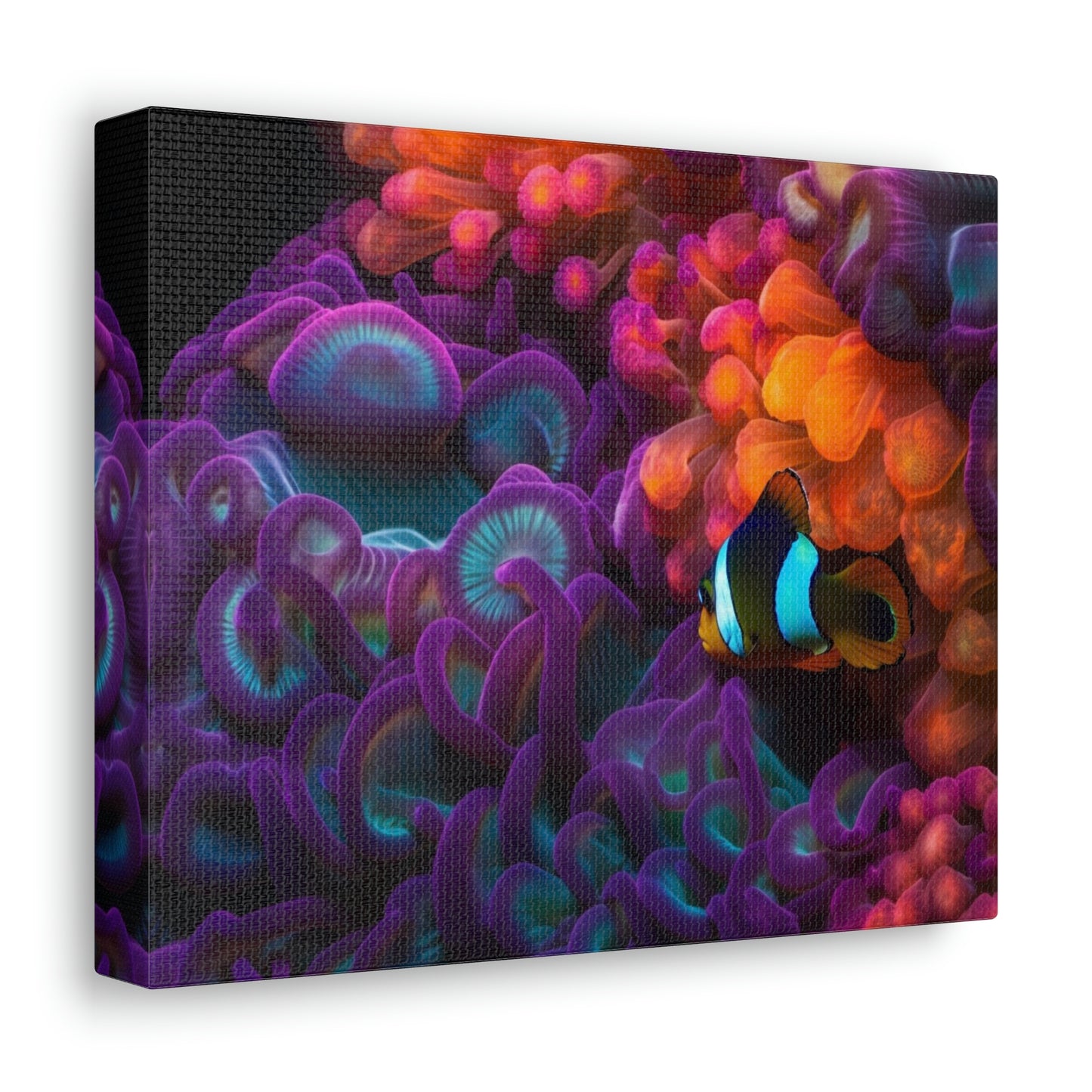 Canvas Gallery Wraps Ocean Anemone 4