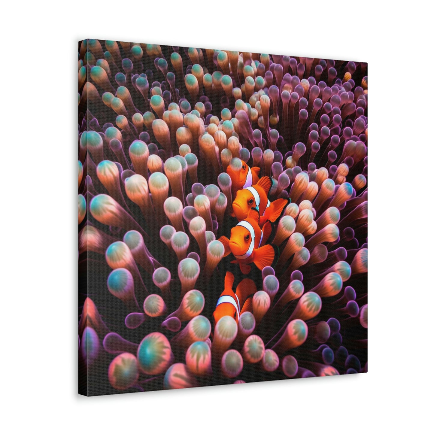 Canvas Gallery Wraps Clown Fish 3