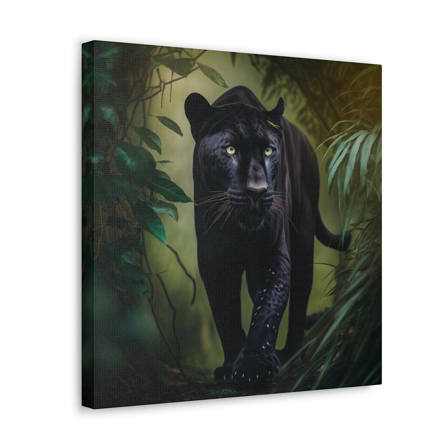 Black Panther in the Jungle 5