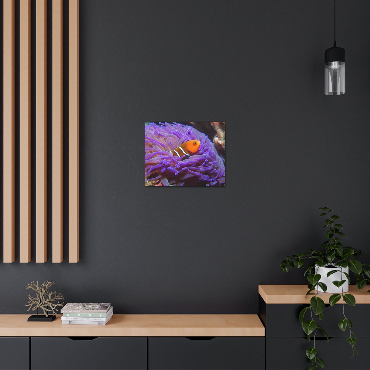 Canvas Gallery Wraps Anemone Clown 3