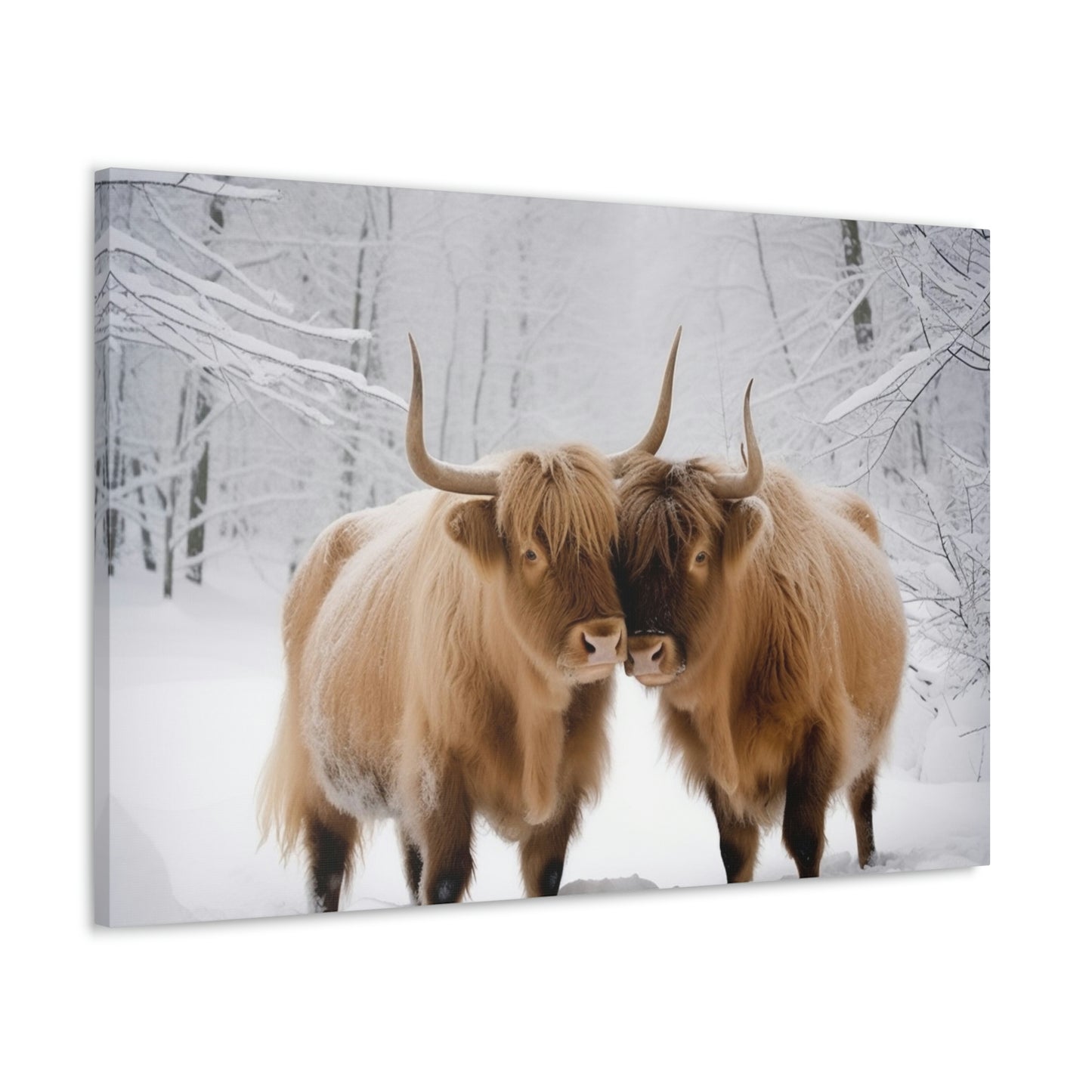 Canvas Gallery Wraps Long Haired Cow snow 1