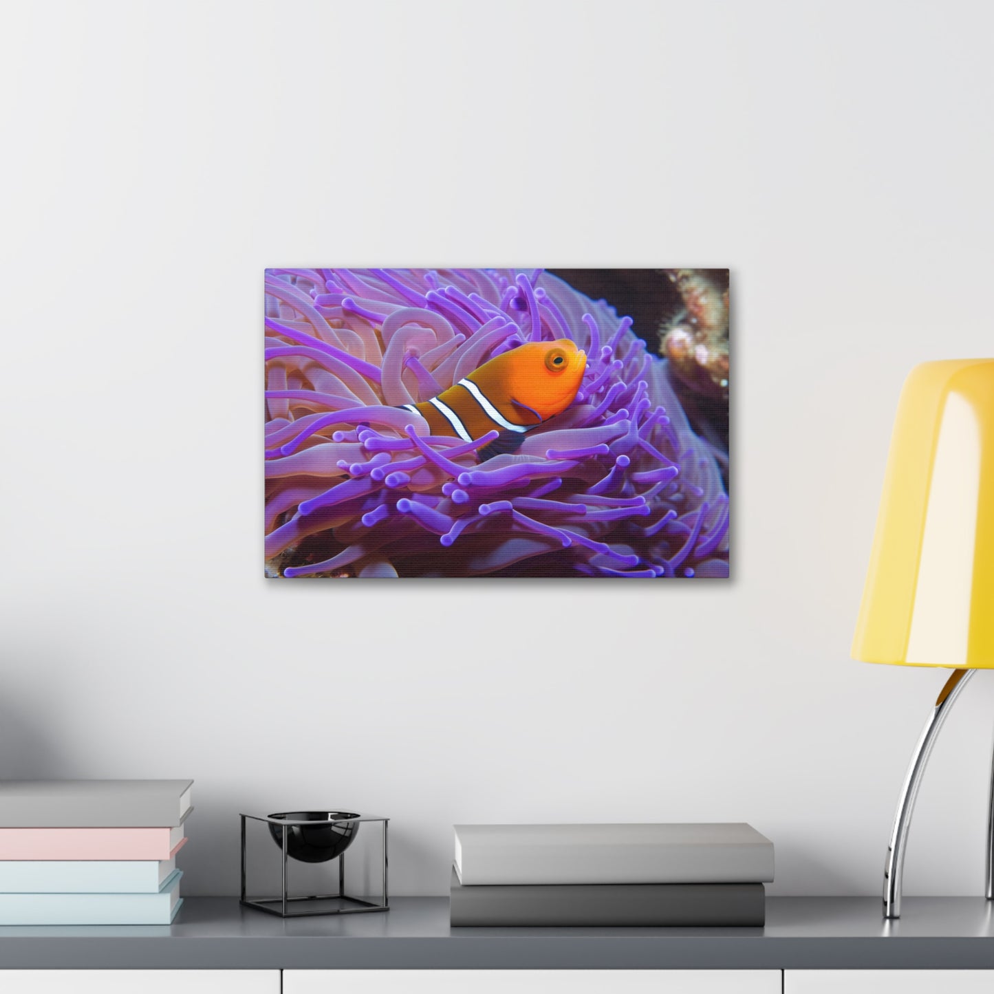 Canvas Gallery Wraps Anemone Clown 3