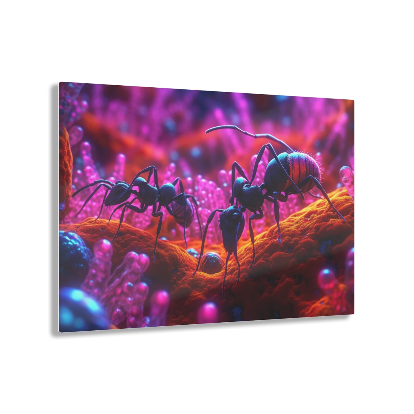 Acrylic Prints Ants Home 4