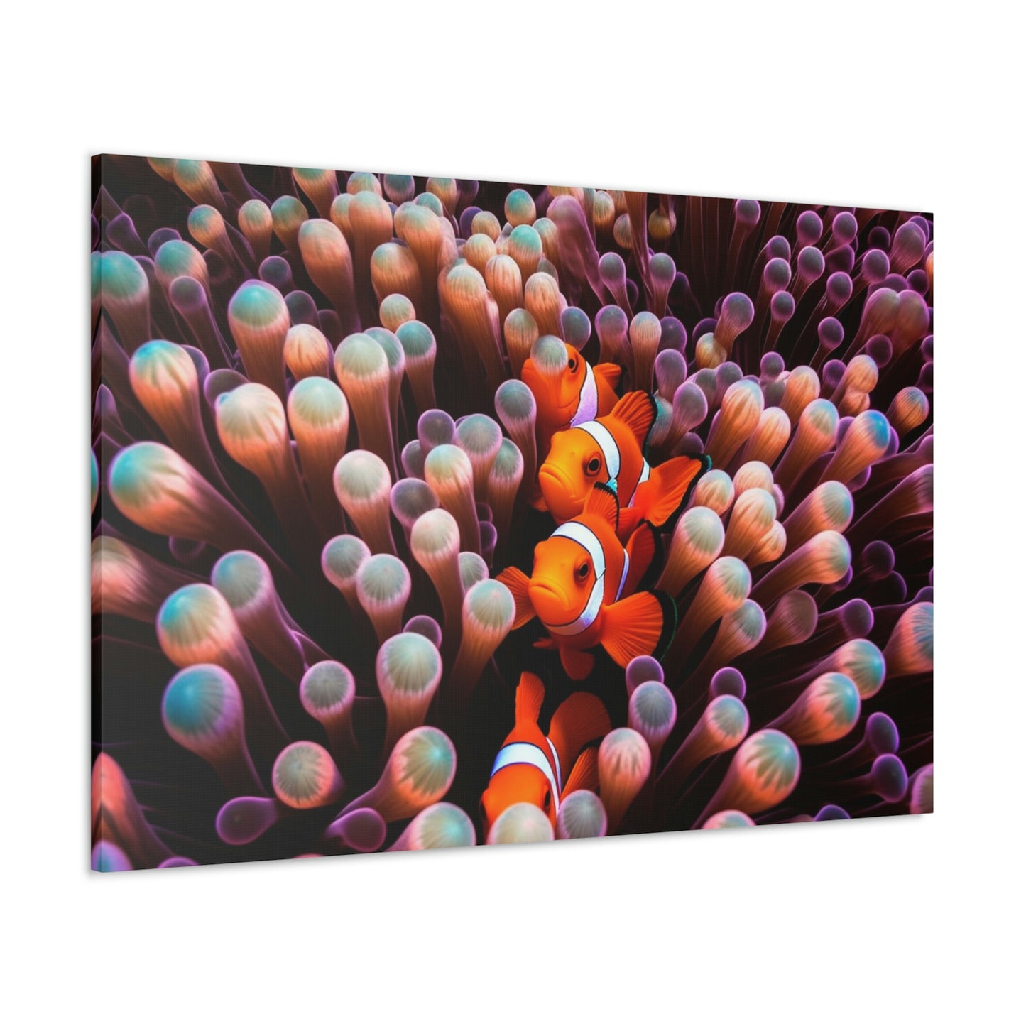 Canvas Gallery Wraps Clown Fish 3