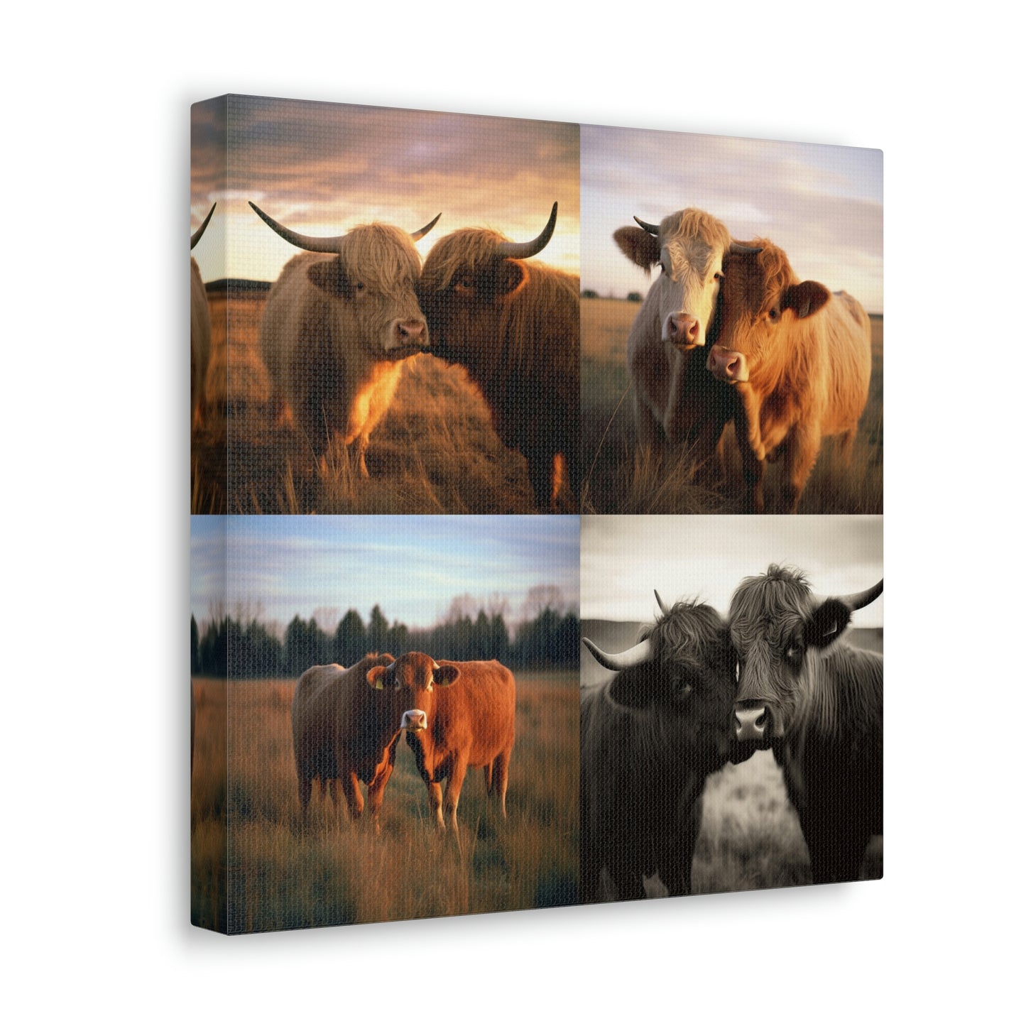 Canvas Gallery Wraps Cow Love 4 Pack