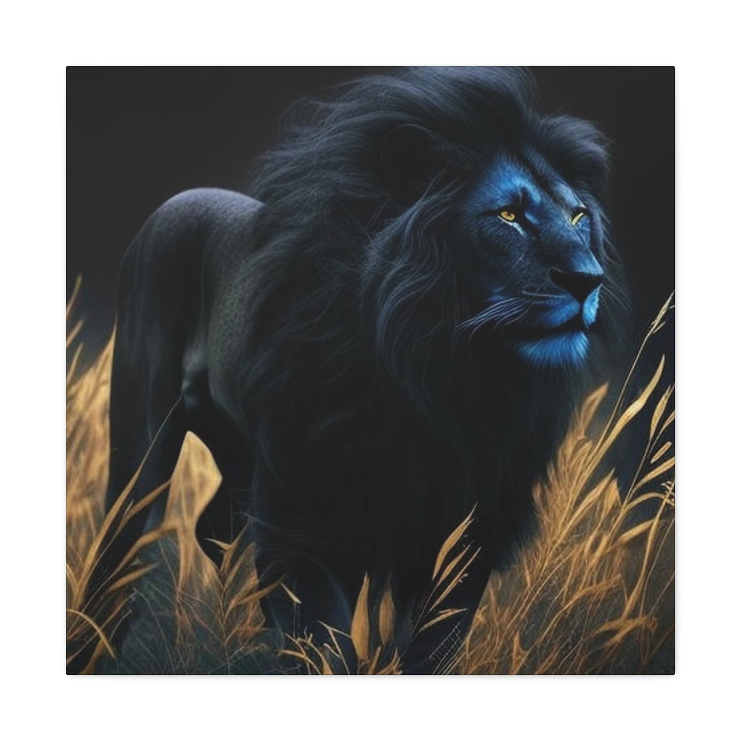 Black lion 3