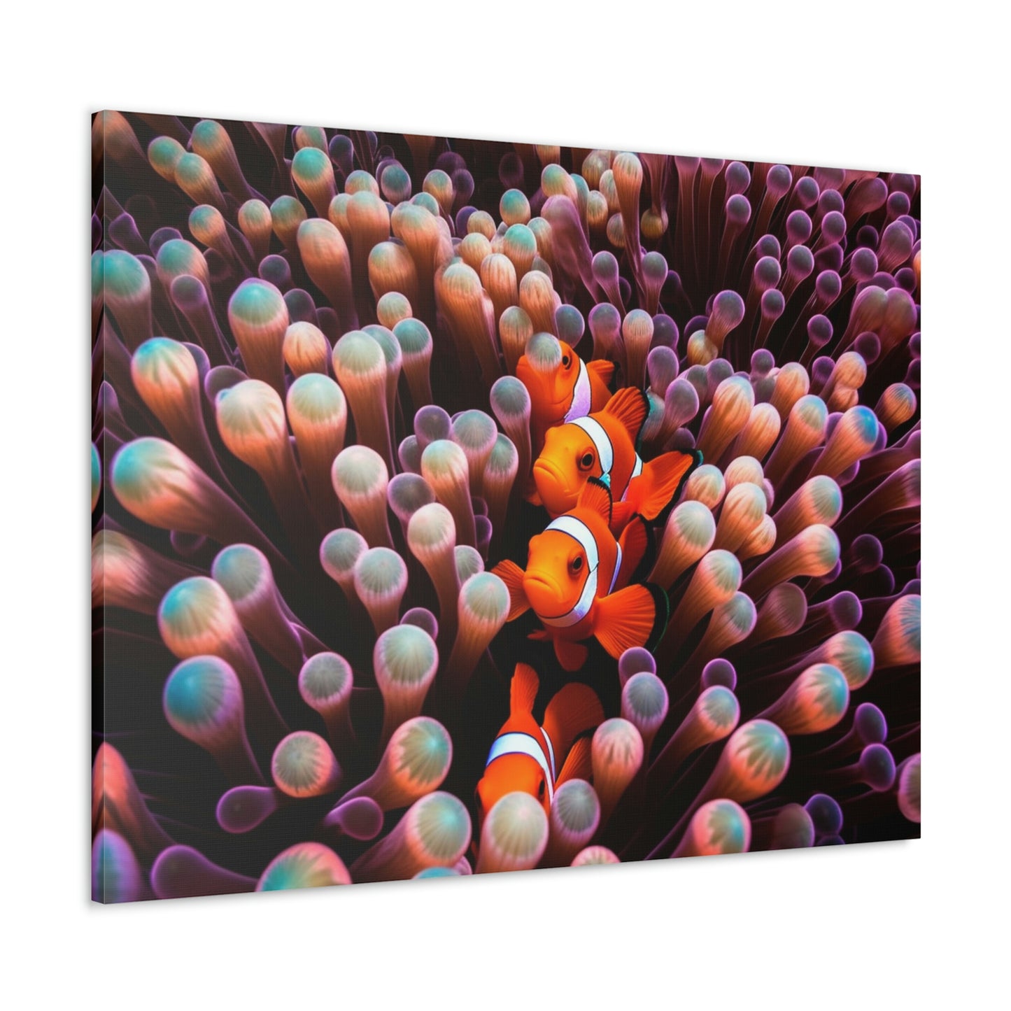 Canvas Gallery Wraps Clown Fish 3