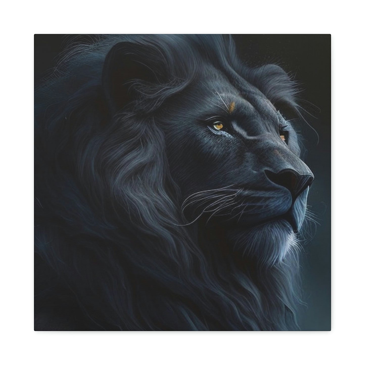 Lion Black 4