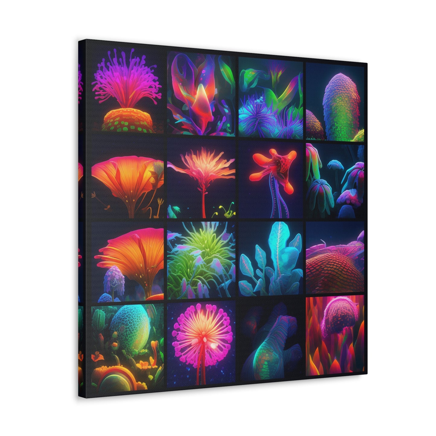 Canvas Gallery Wraps Macro Life Photo 3