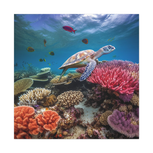 Sea Turtle Reef 2