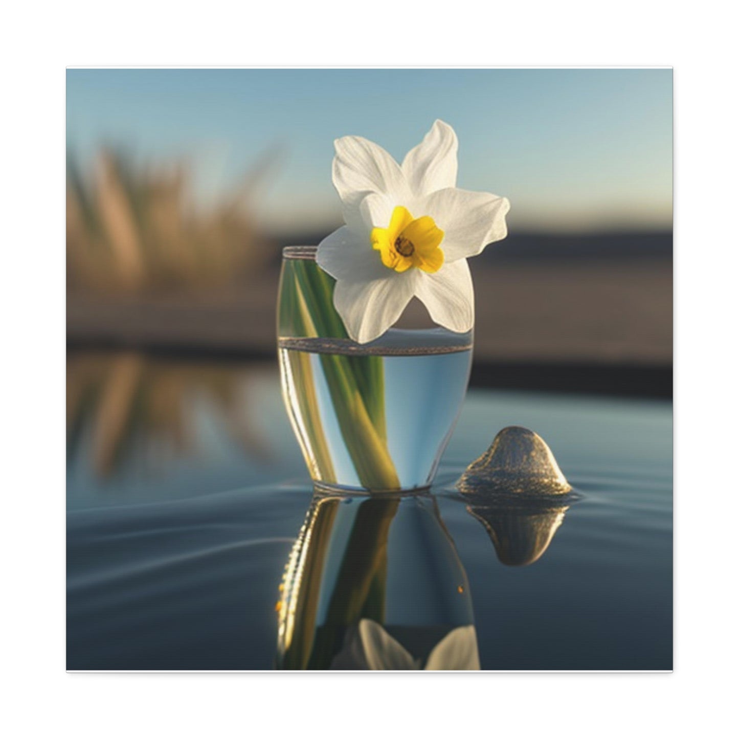 Canvas Gallery Wraps Daffodil 4