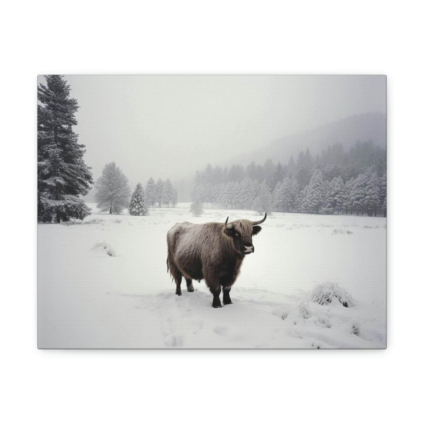 Canvas Gallery Wraps Cow Snow 4