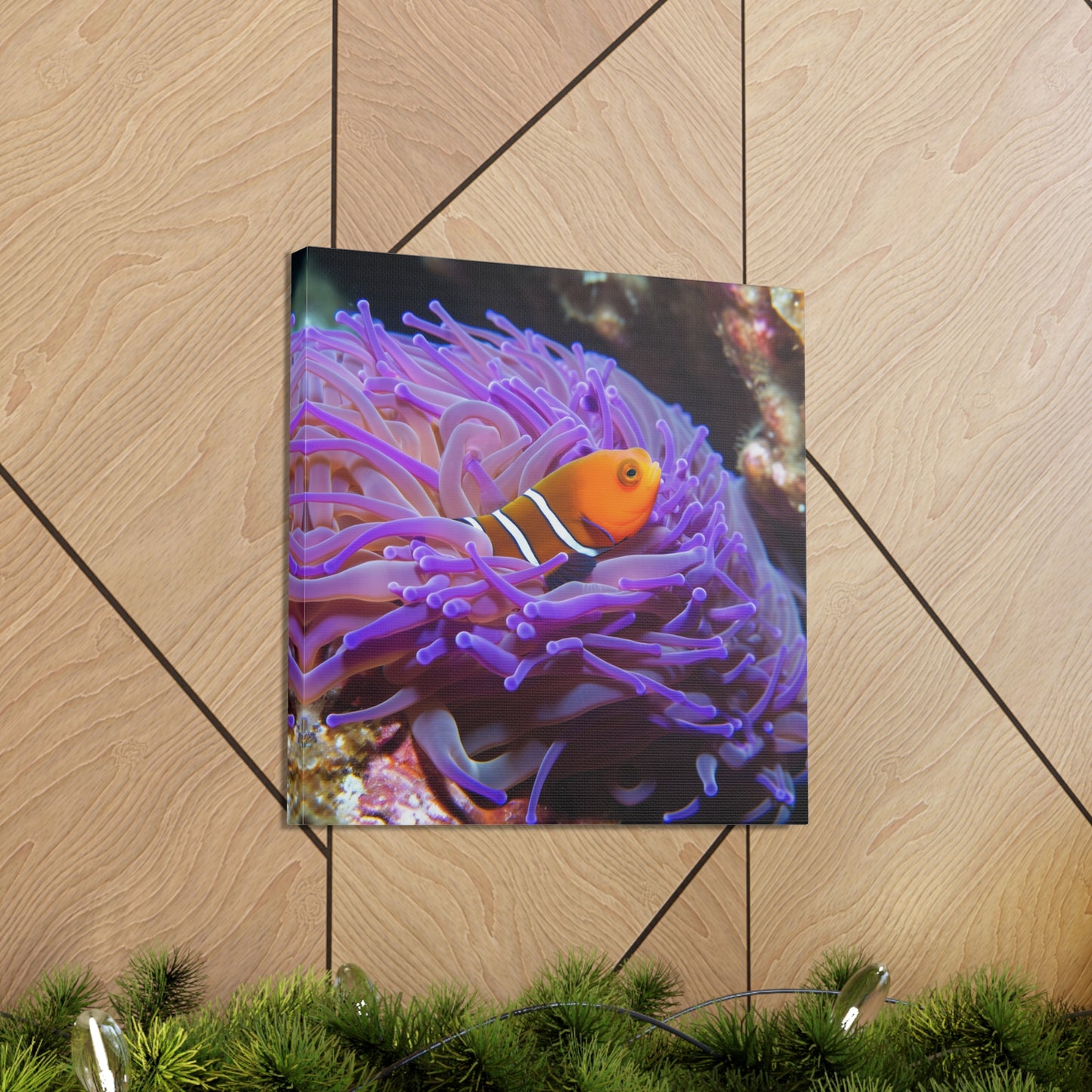 Canvas Gallery Wraps Anemone Clown 3