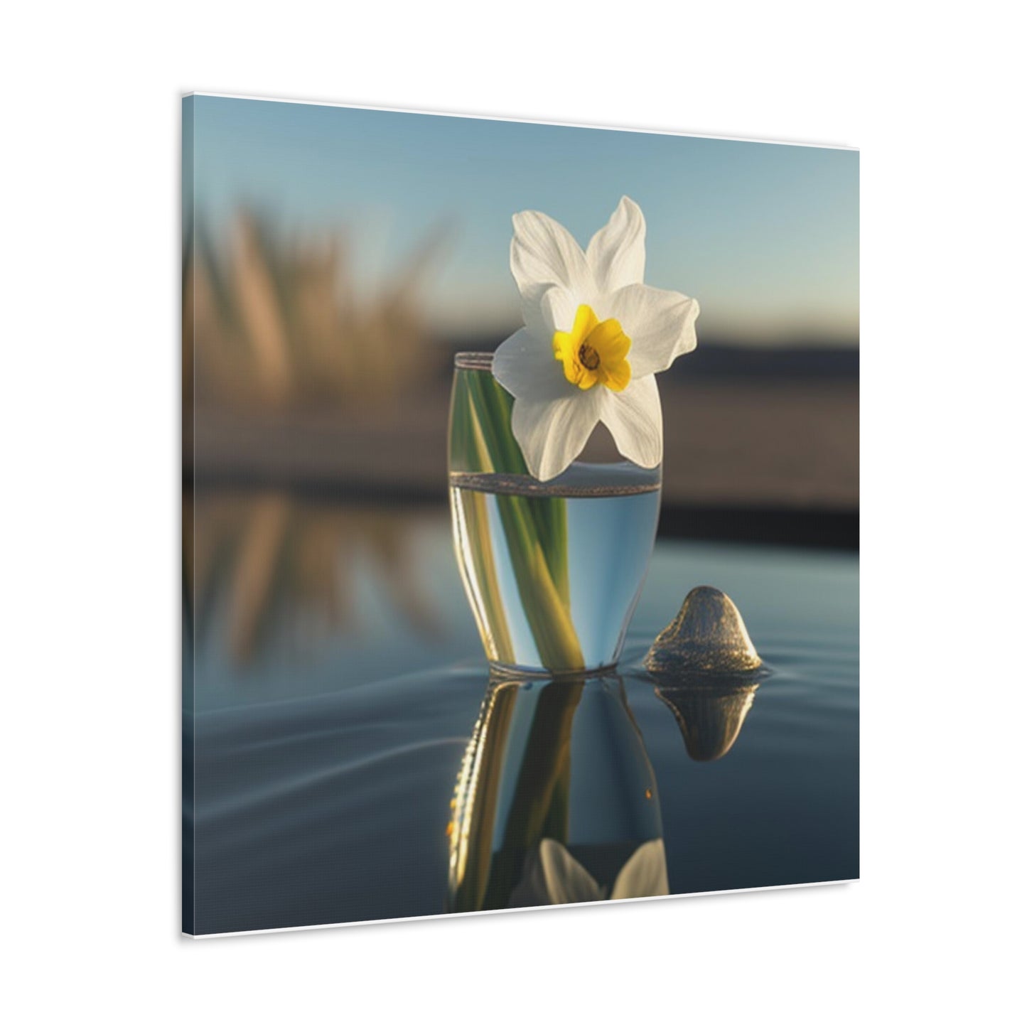 Canvas Gallery Wraps Daffodil 4