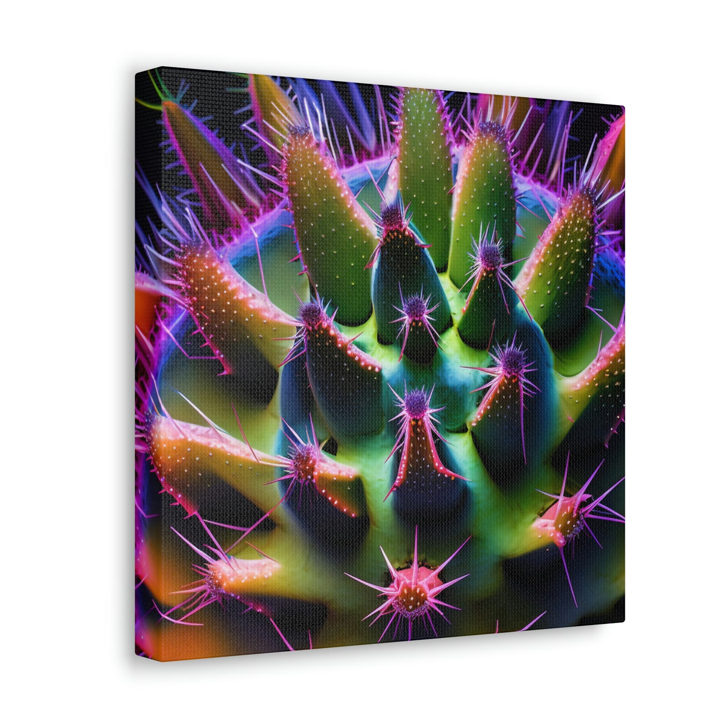 Macro Cactus 5