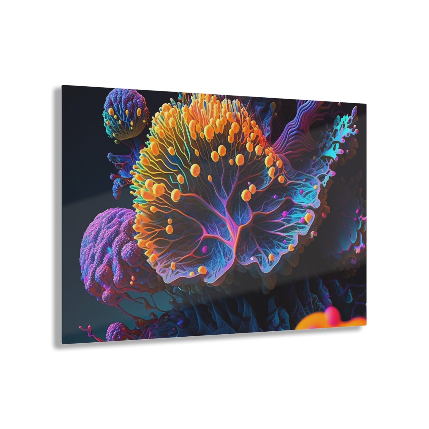 Acrylic Prints Ocean Life Macro 1