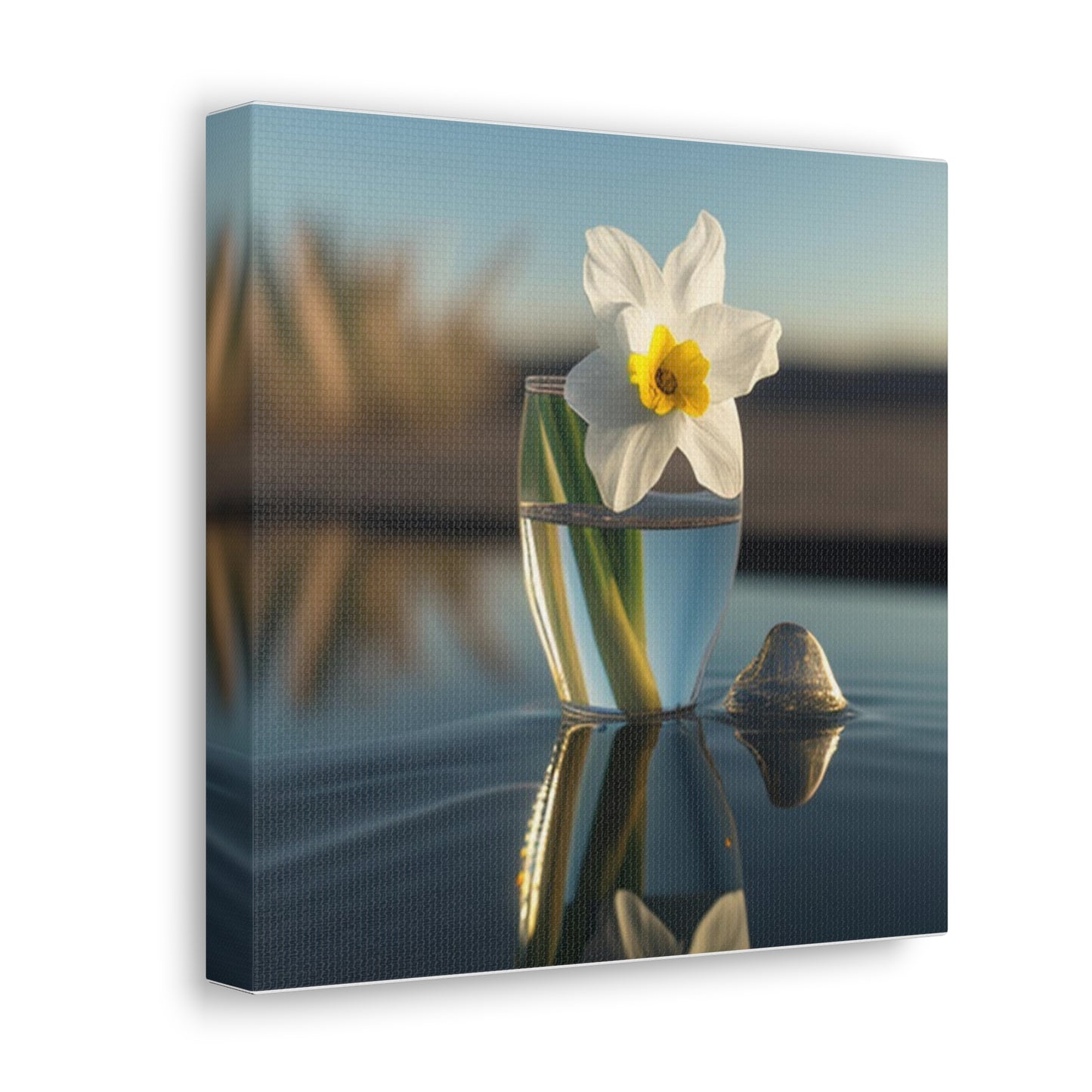 Canvas Gallery Wraps Daffodil 4