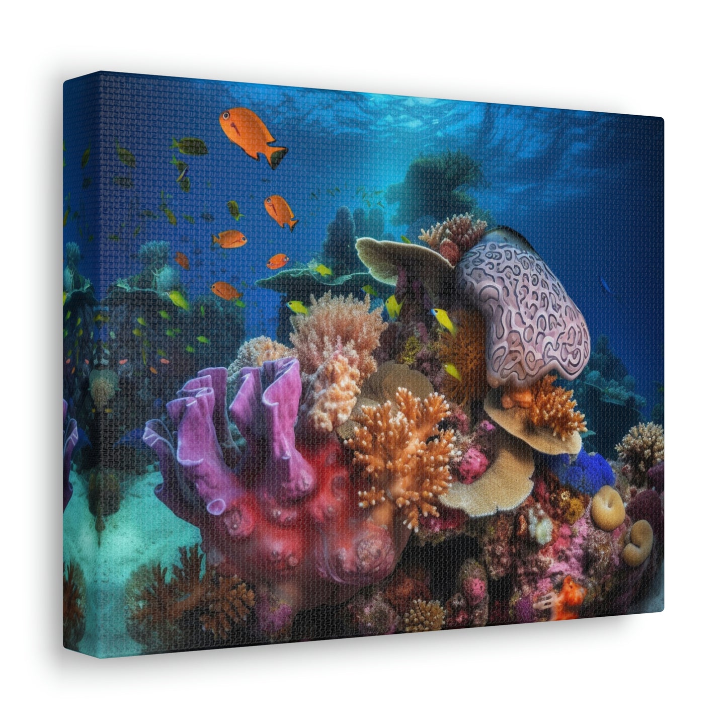 Coral Reef 2