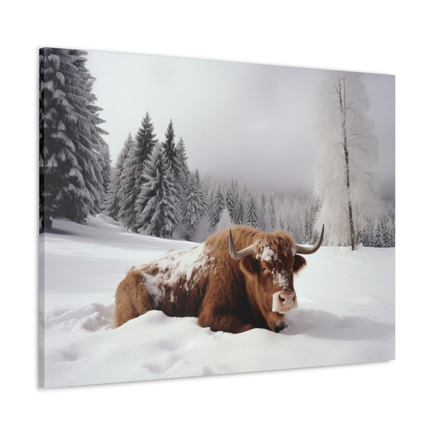 Canvas Gallery Wraps Cow Snow 2