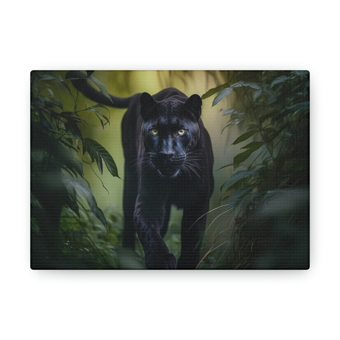 Black Panther walking