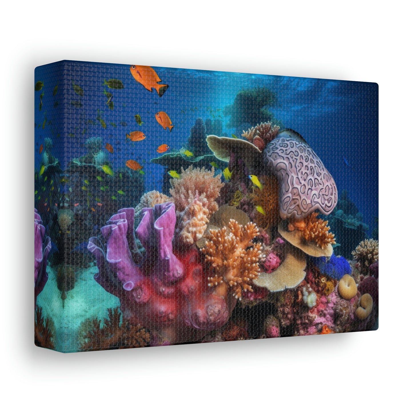 Coral Reef 2