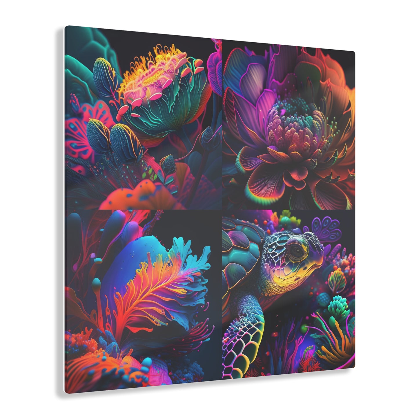 Acrylic Prints Macro Sea Life