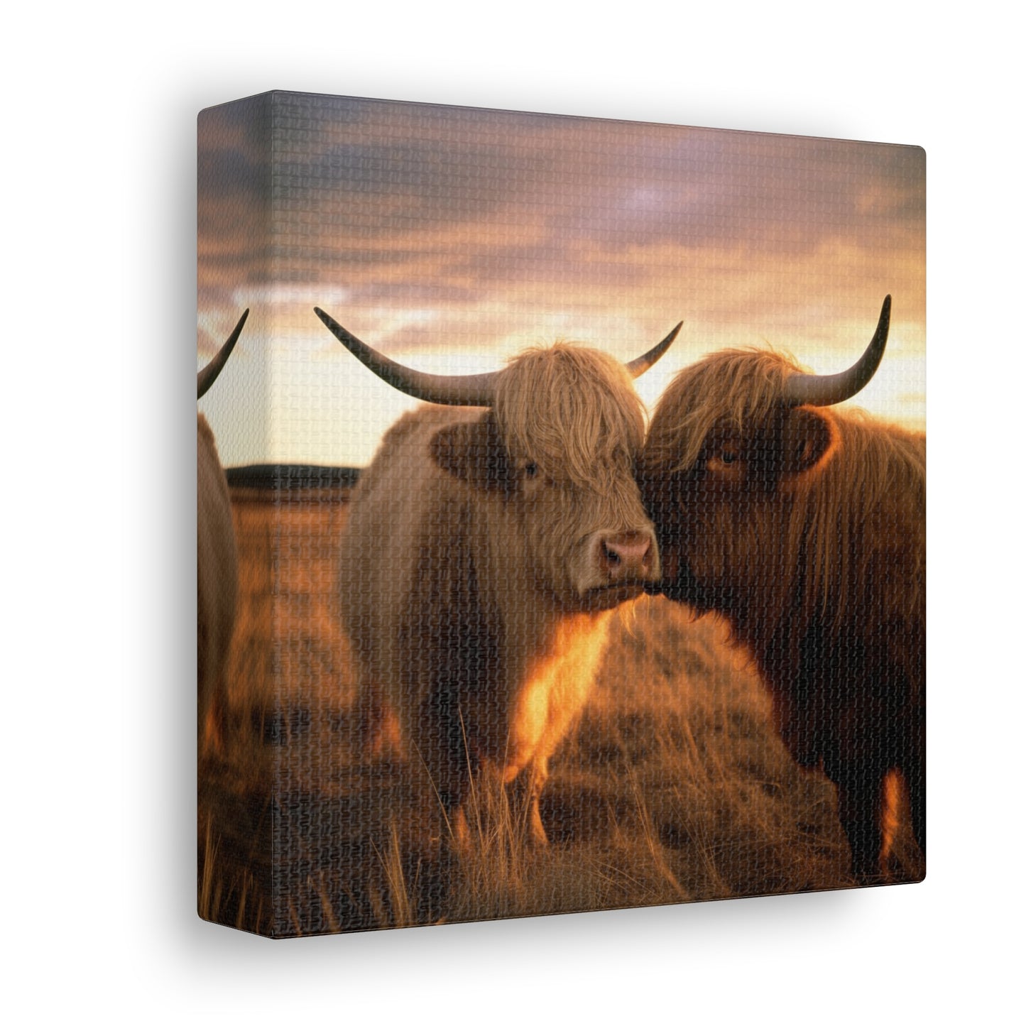 Canvas Gallery Wraps Cow Love 1