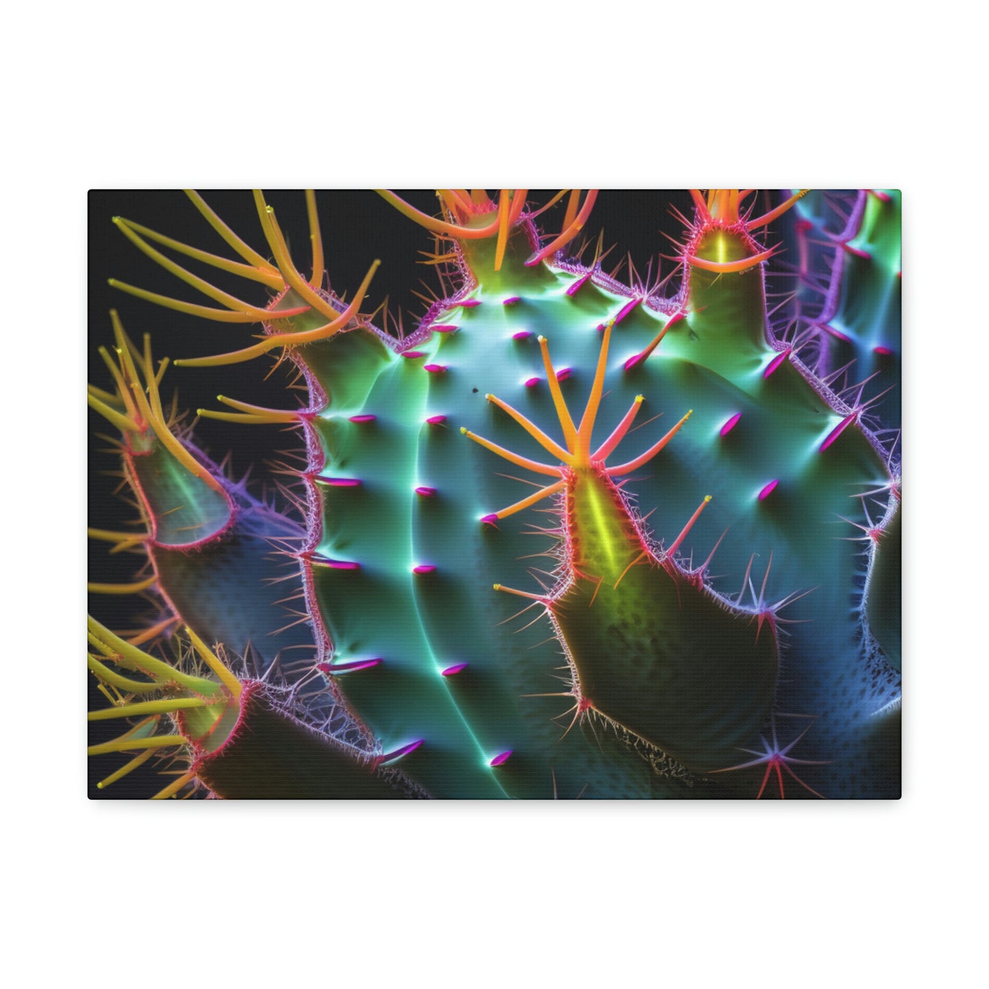 Macro Cactus 6