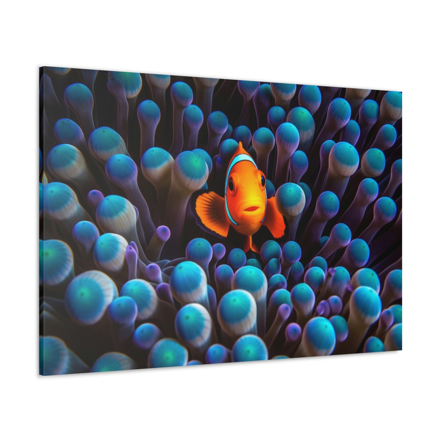 Canvas Gallery Wraps Clown Fish 1