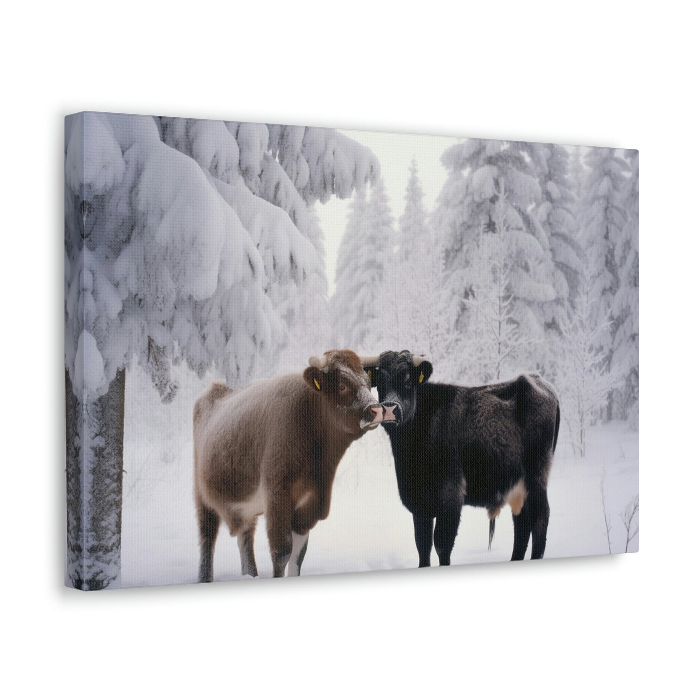 Canvas Gallery Wraps Long Haired Cow snow 3