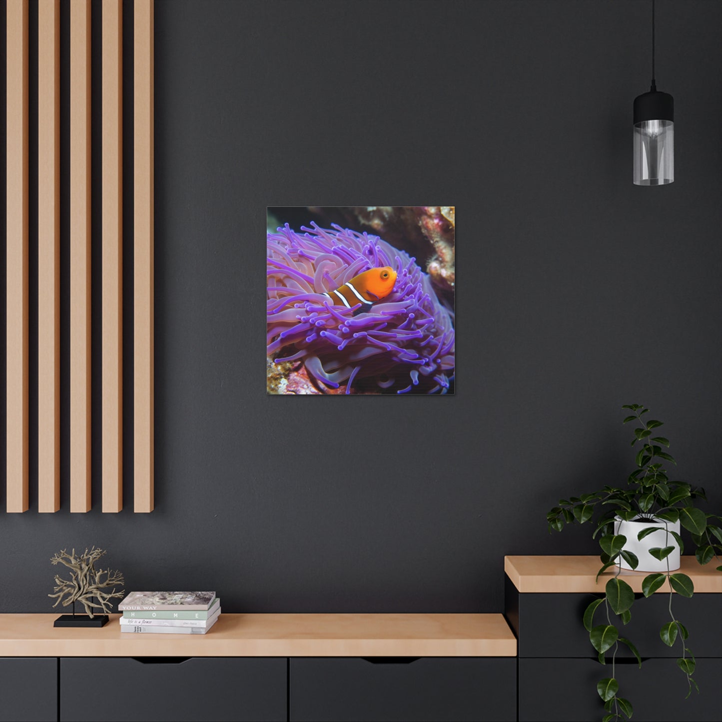 Canvas Gallery Wraps Anemone Clown 3