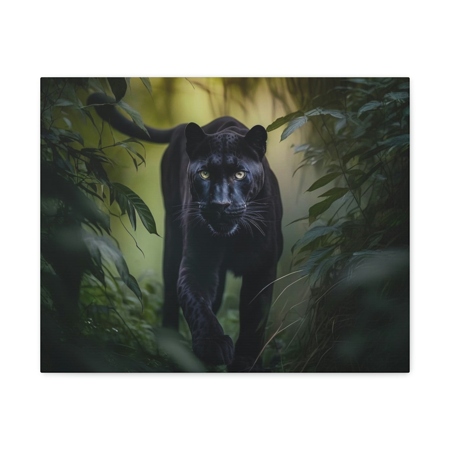 Black Panther walking