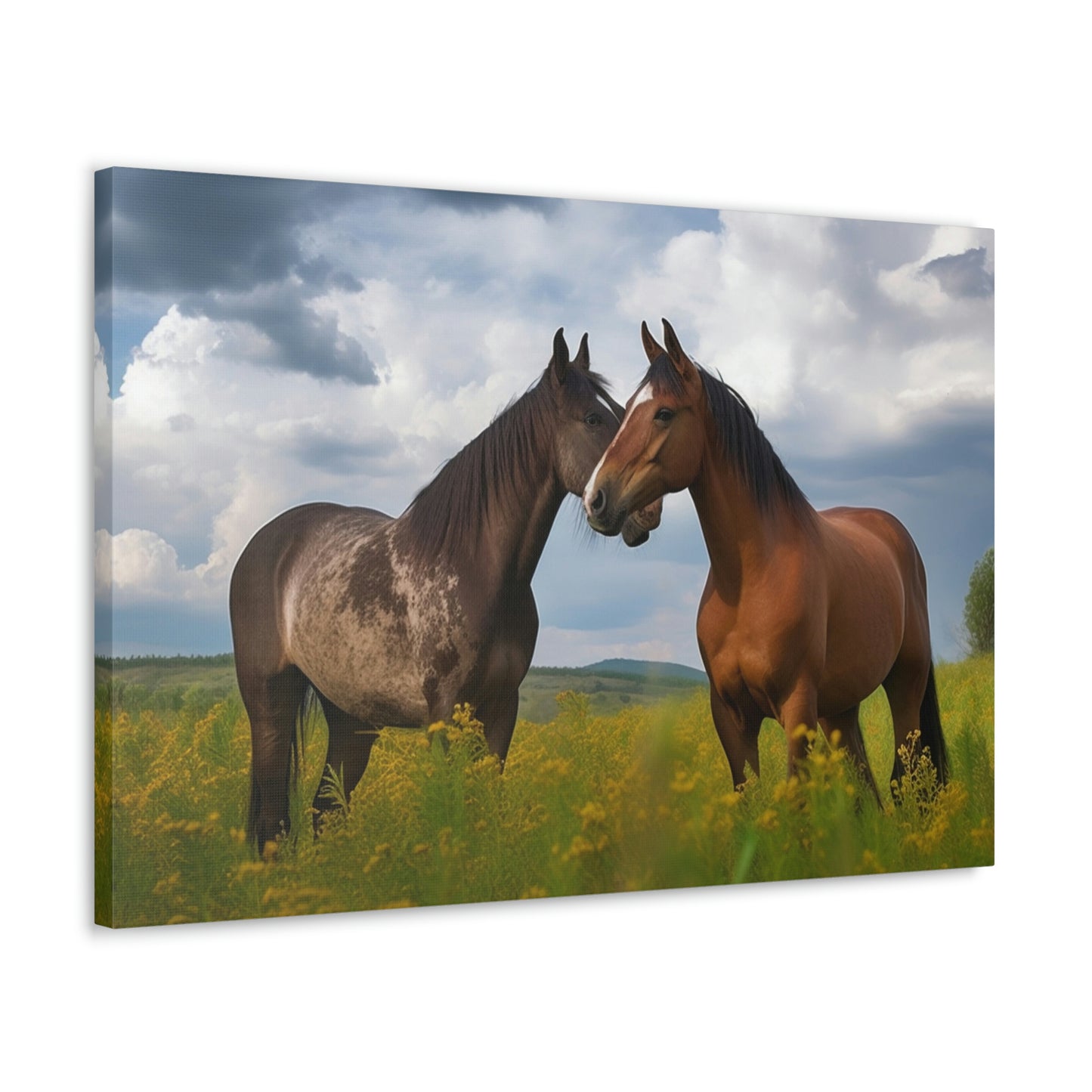 Canvas Gallery Wraps Horse Buddy 3