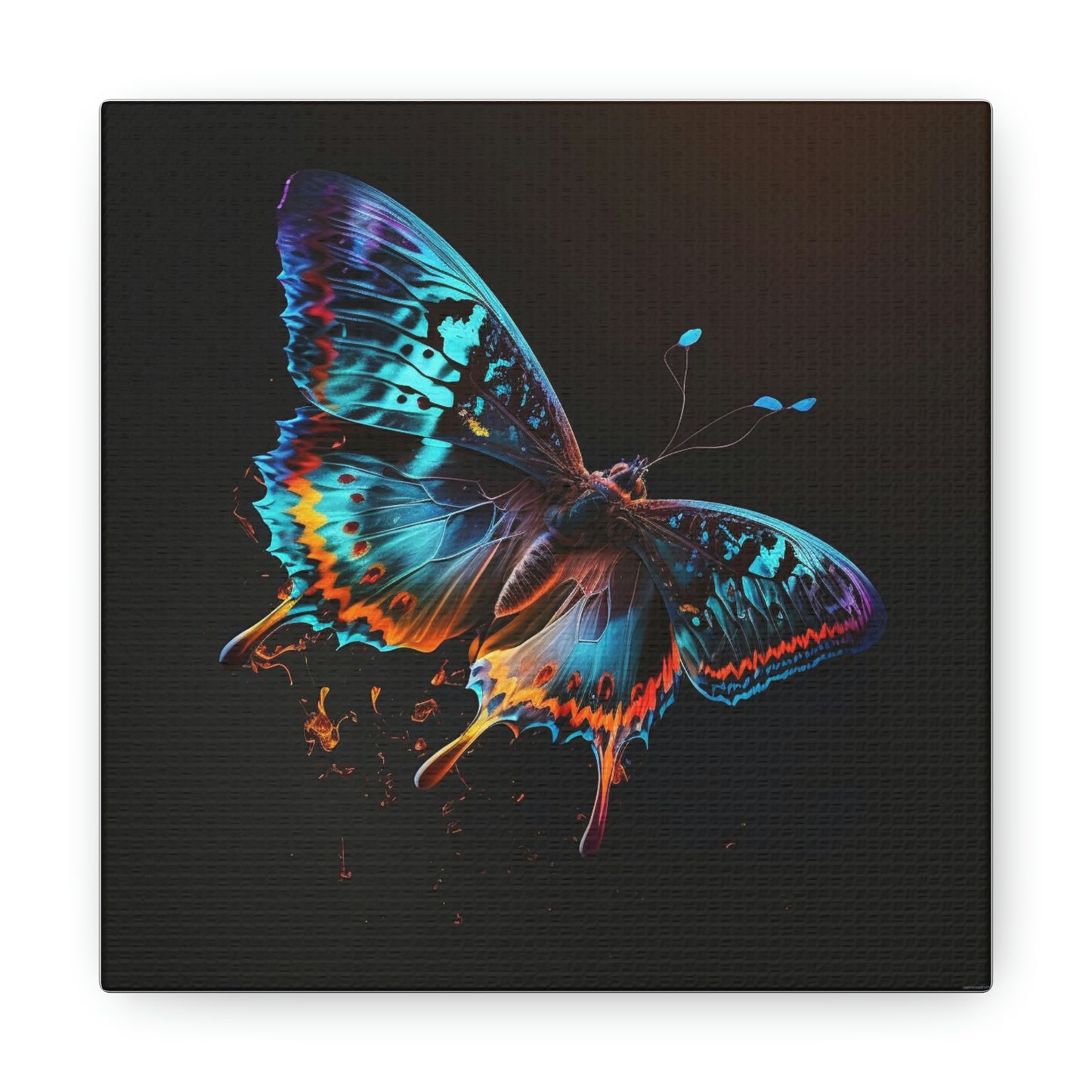 Butterfly florescent glow