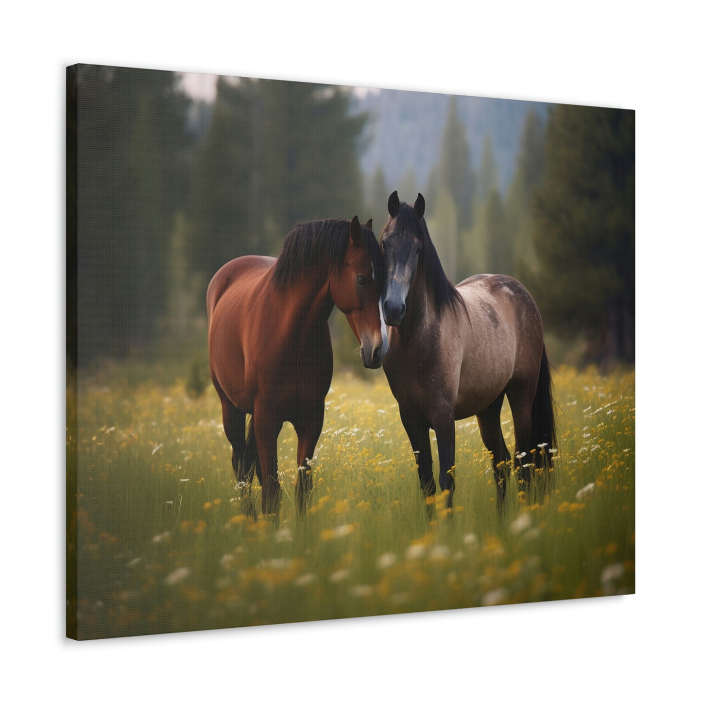 Canvas Gallery Wraps Horse Buddy 1