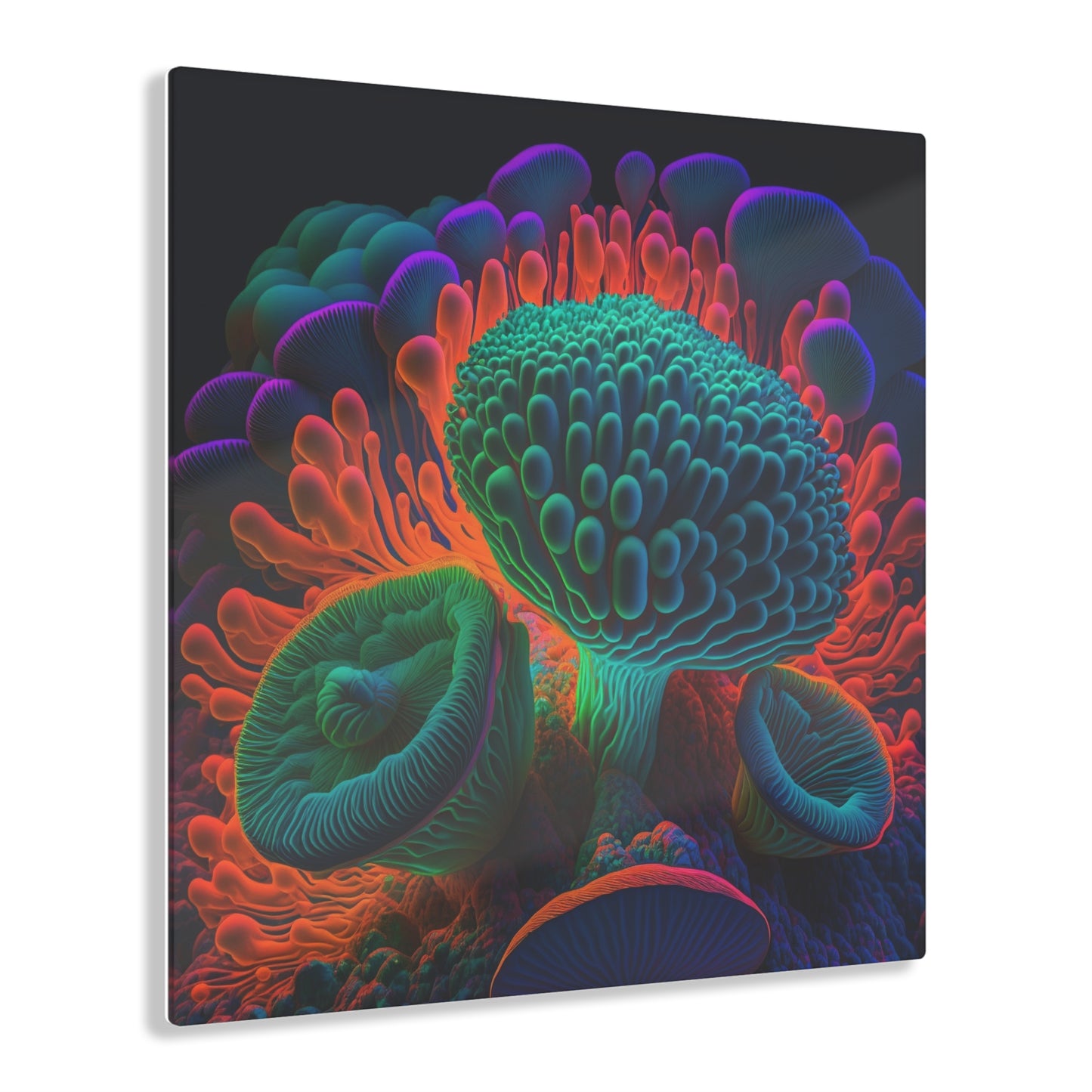 Acrylic Prints Macro Reef Florescent 3