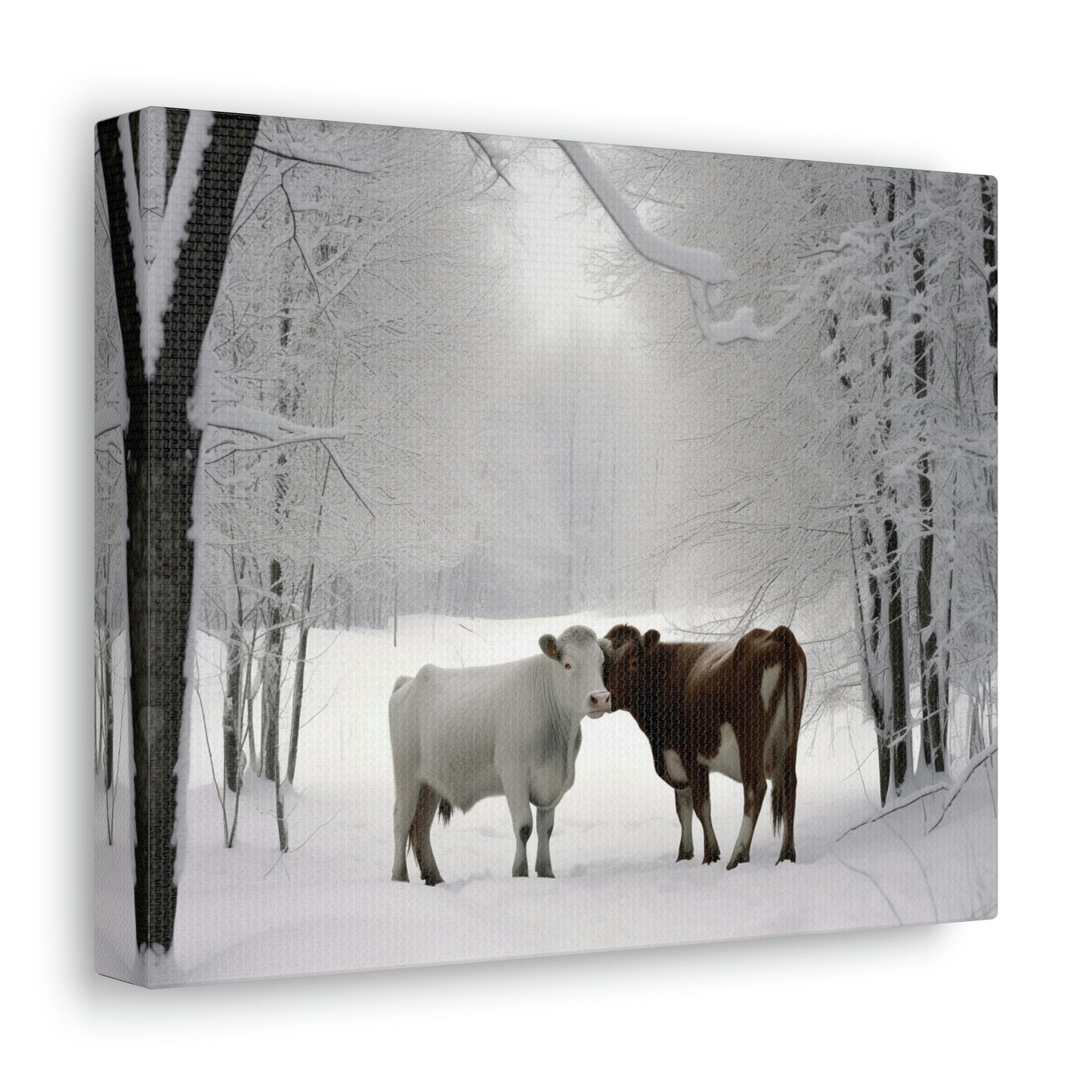 Canvas Gallery Wraps Long Haired Cow snow 4