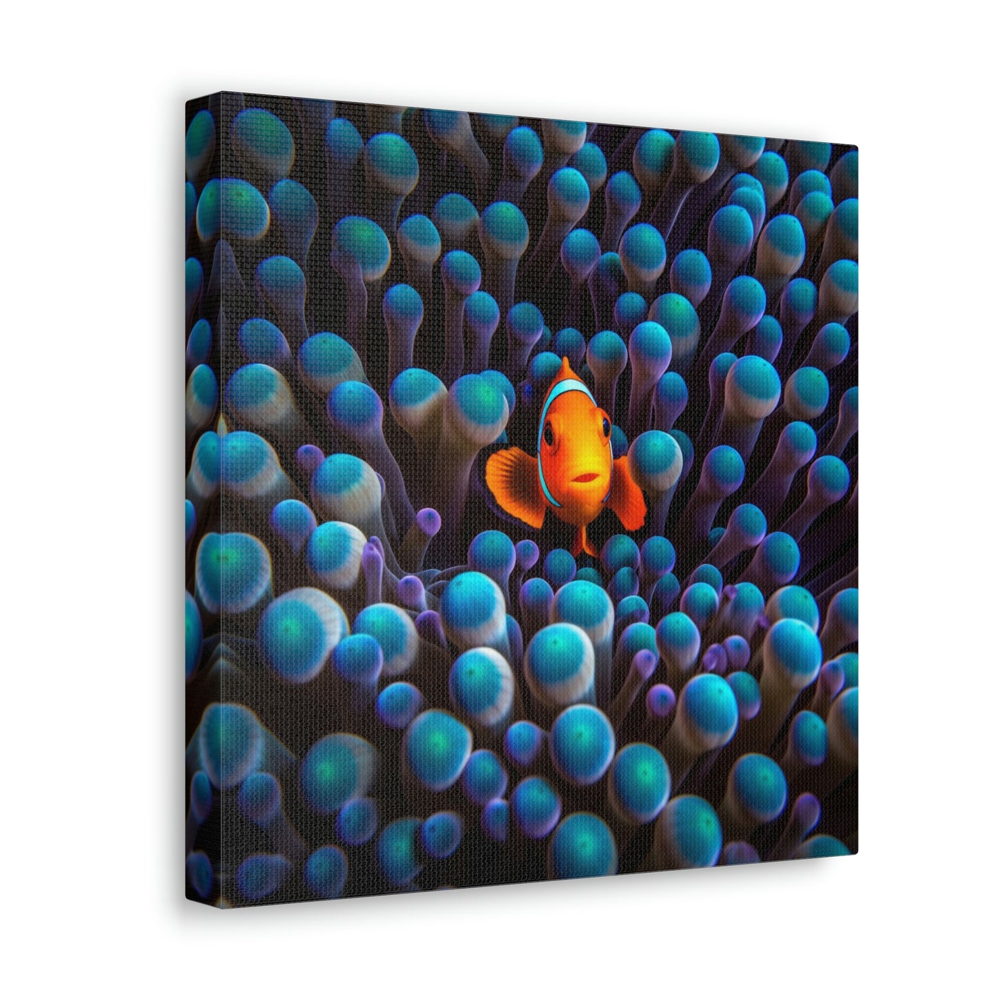 Canvas Gallery Wraps Clown Fish 1