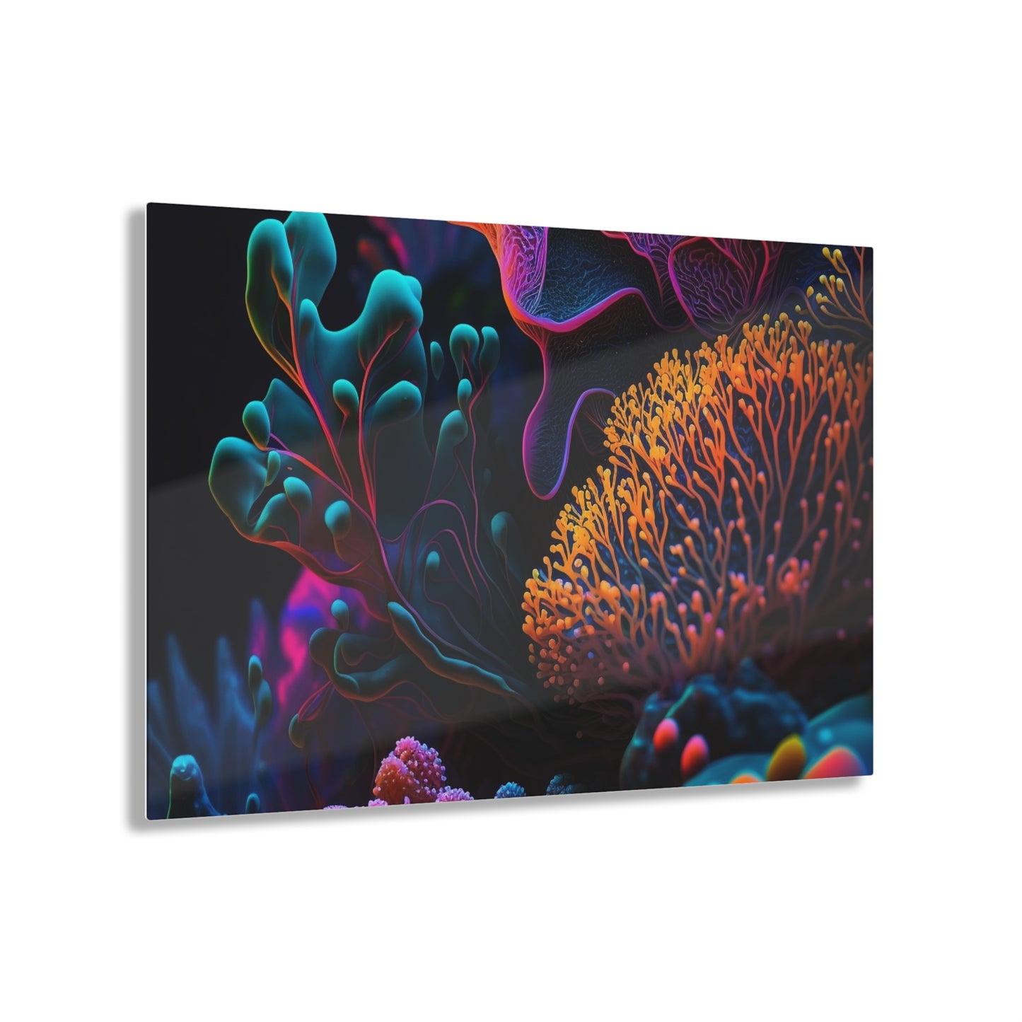 Acrylic Prints Ocean Life Macro 2