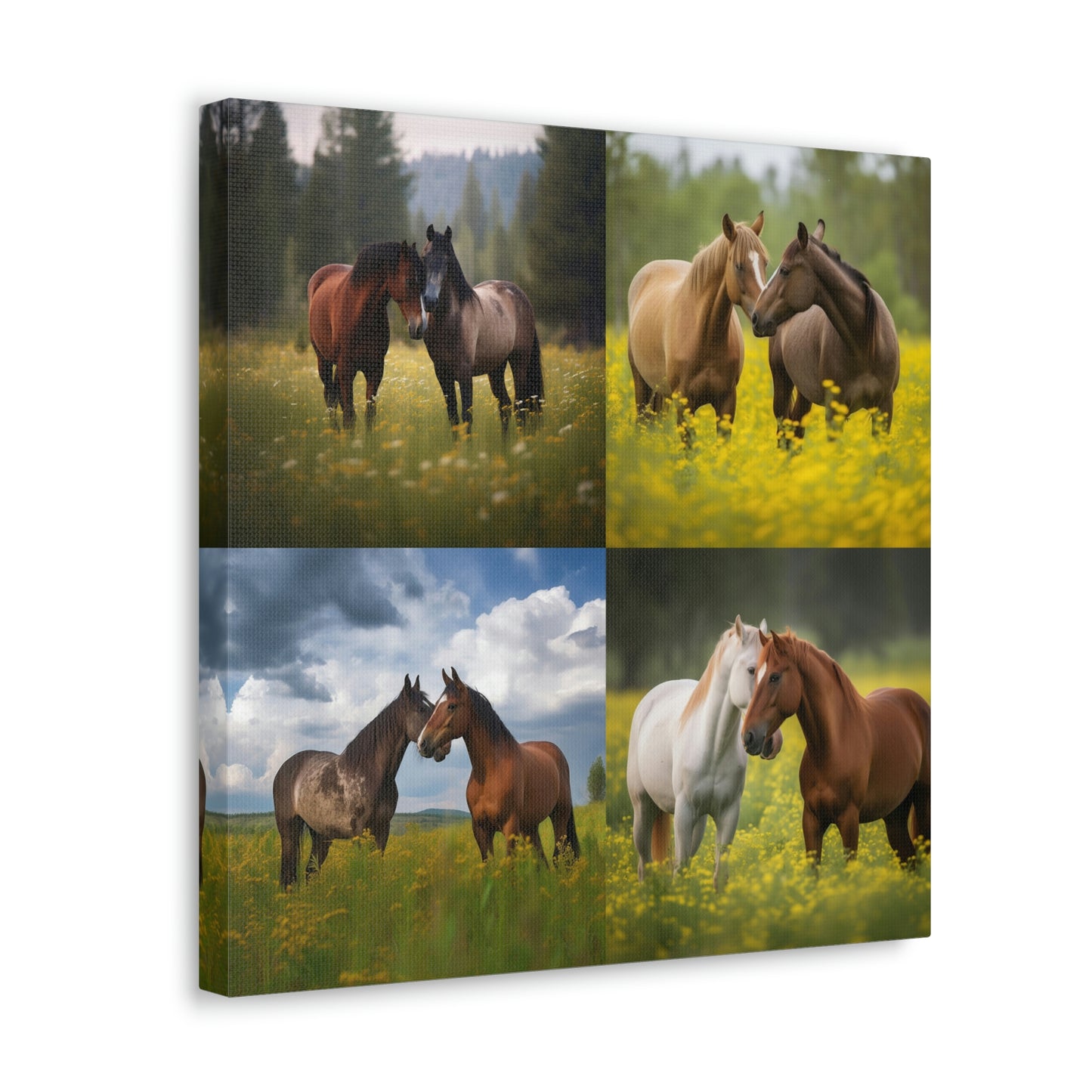 Canvas Gallery Wraps Horse Buddy 4 Pack