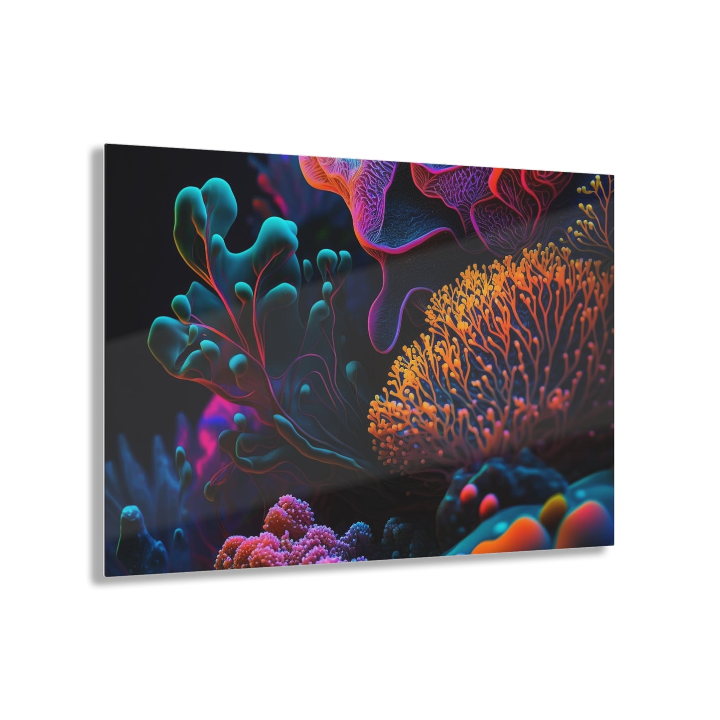 Acrylic Prints Ocean Life Macro 2