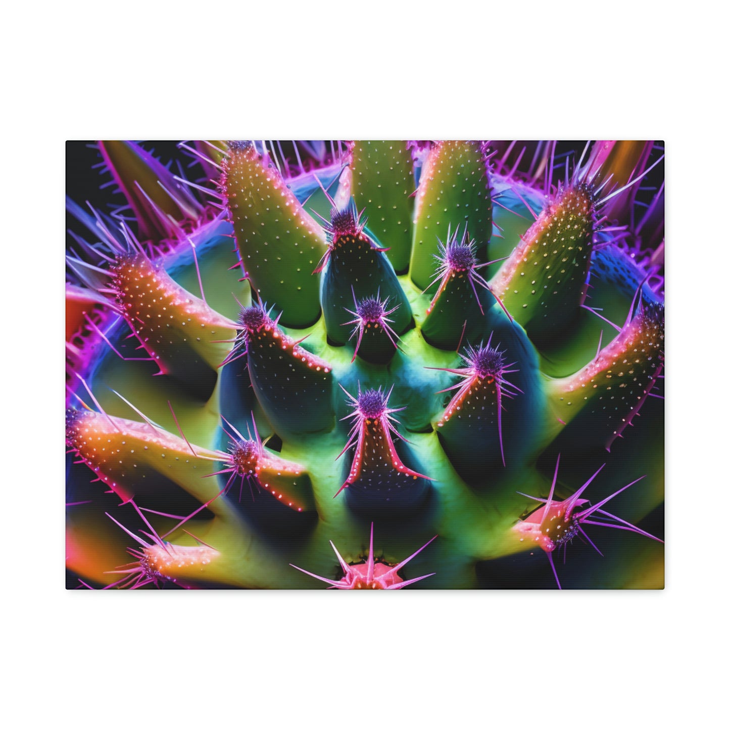 Macro Cactus 5