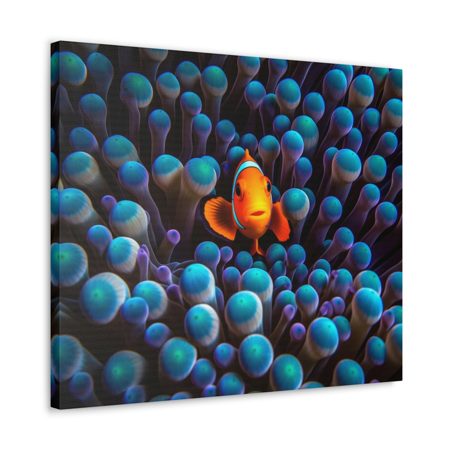 Canvas Gallery Wraps Clown Fish 1