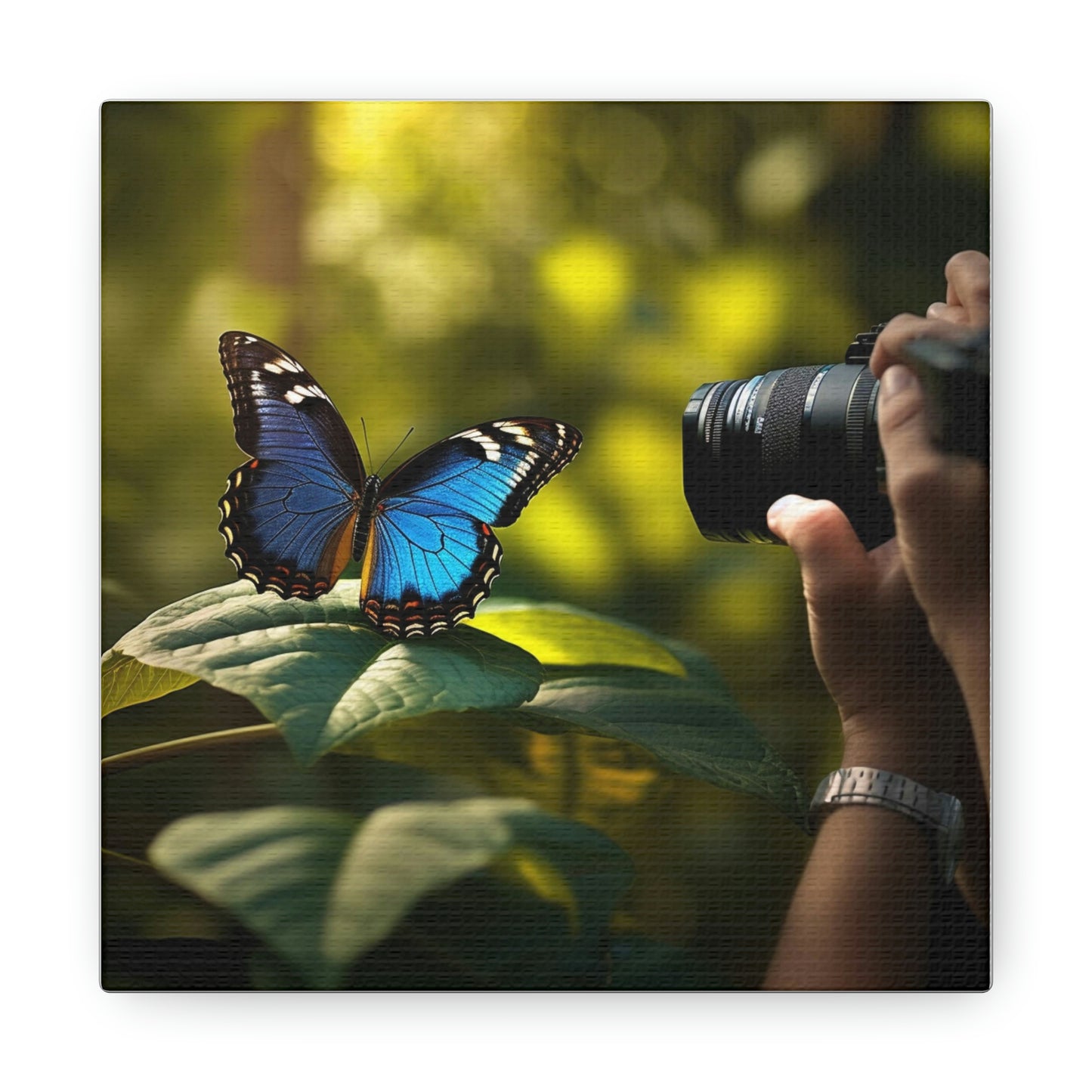 Butterfly real look