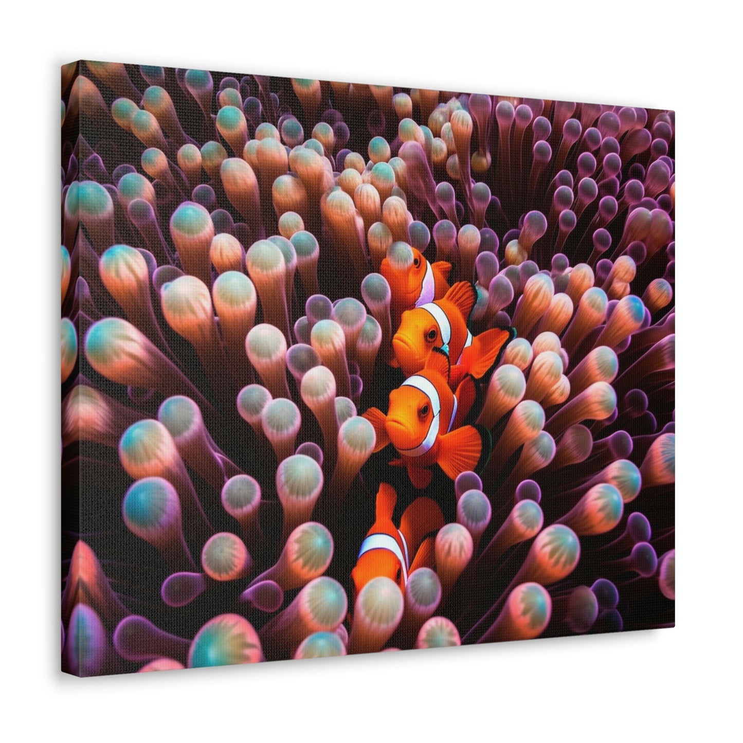 Canvas Gallery Wraps Clown Fish 3