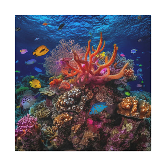 Color Coral Reef 1