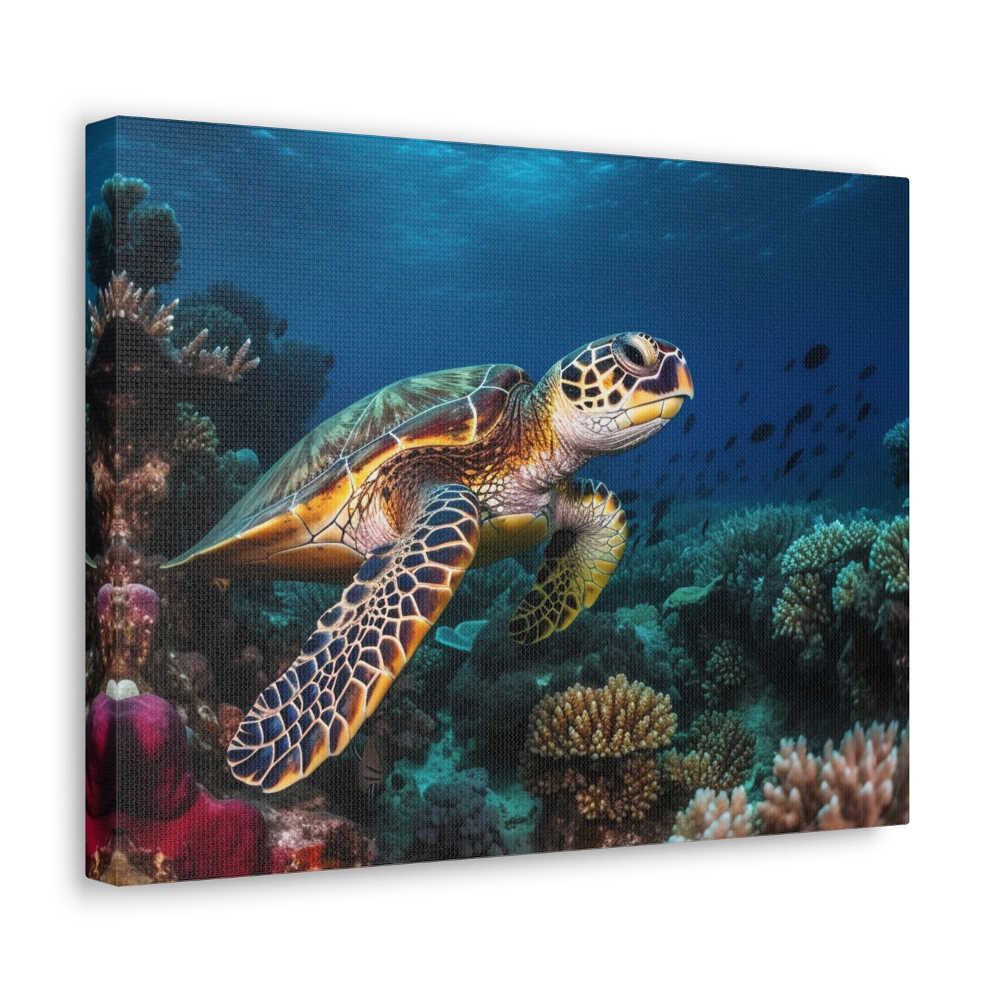 Sea Turtle Reef 1