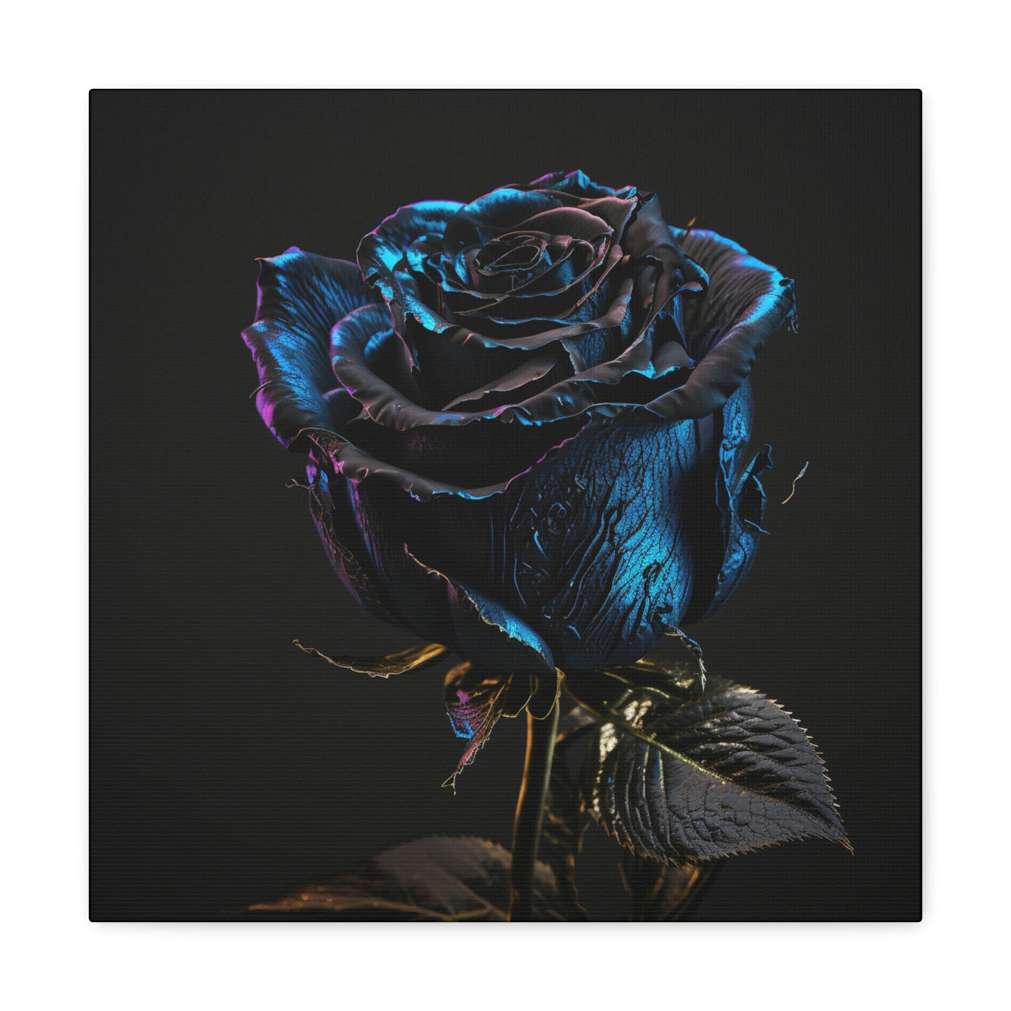 Black Blue Rose 1