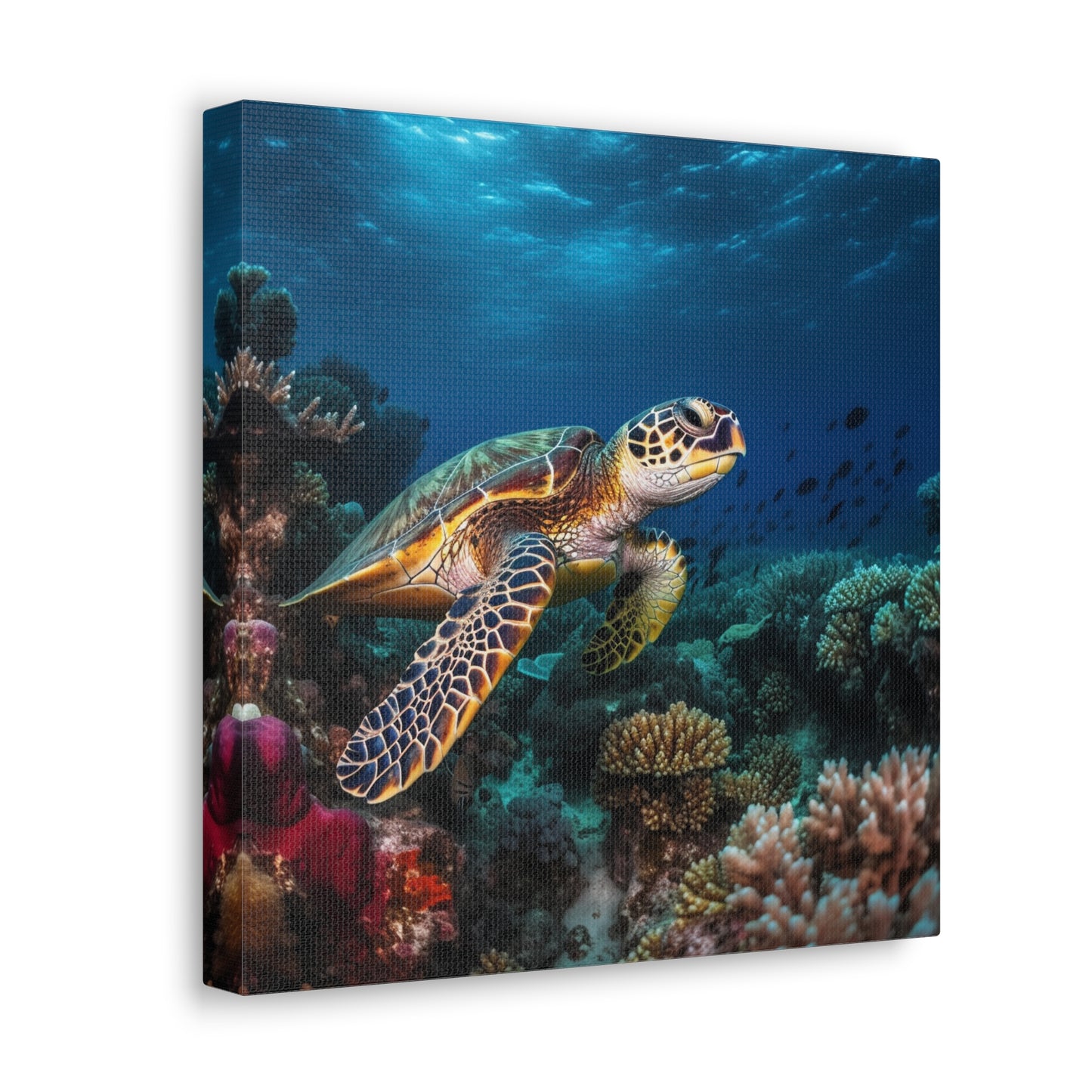 Sea Turtle Reef 1