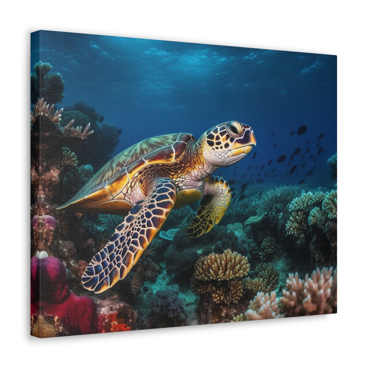 Sea Turtle Reef 1